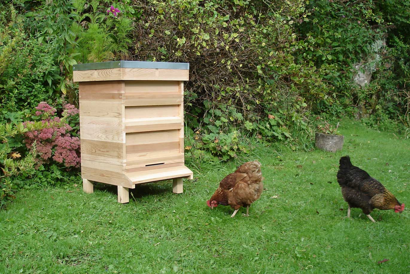 My adventures with Beehives…… The musings of a 
