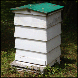 My adventures with Beehives…… The musings of a ...